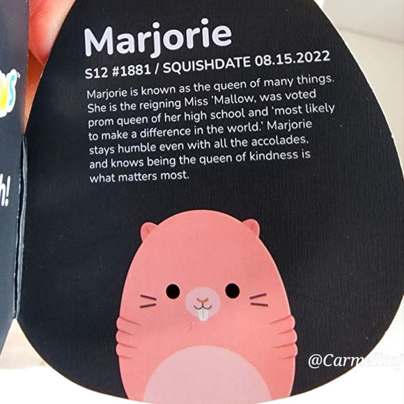 MARJORIE 🐁 SELECT SERIES Naked Mole Rat Original Squishmallow by Kellytoy NWT - Picture 3 of 8